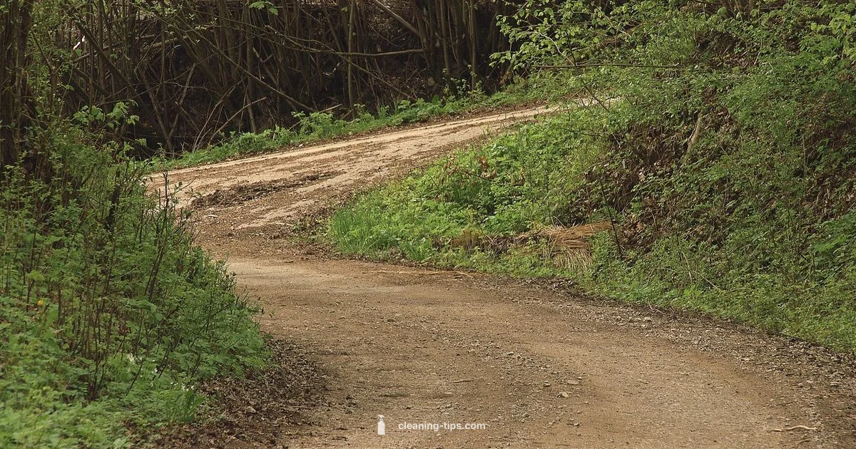 Pressure Washer Driveway - Cleaning Tips