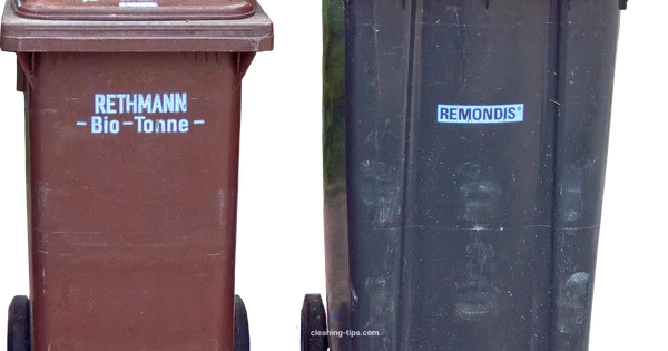 Hygienic Bin, Fresh Home - Cleaning Tips