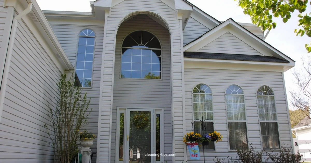 Clean Bird Houses - Cleaning Tips