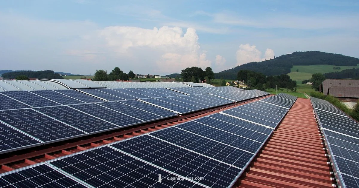 Clean Energy Basics - Cleaning Tips