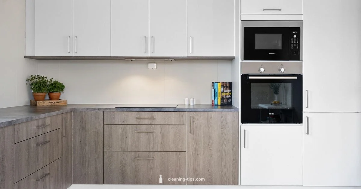 Clean Kitchen Sink Drain Clean Kitchen Sink Drain - Cleaning Tips