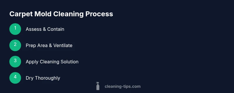 Infographic showing steps to clean carpet mold