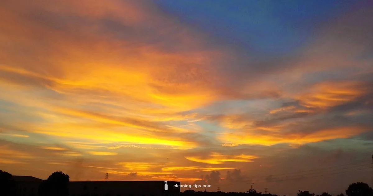 Self-Serve Guide - Cleaning Tips