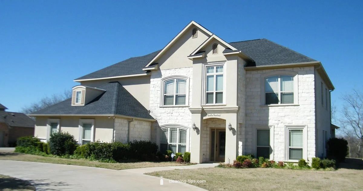 Driveway Cleaning Guide Driveway Cleaning Guide - Cleaning Tips