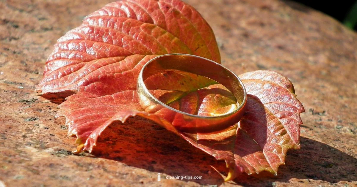Ring Cleaning Basics - Cleaning Tips