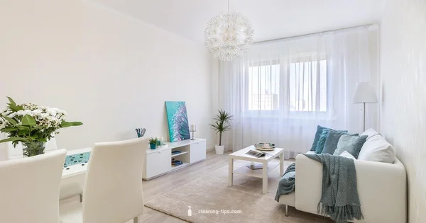 Accident Cleanup Guide - Cleaning Tips