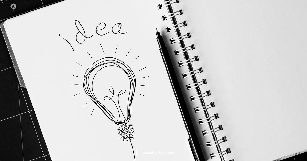 Clean Definition Guide - Cleaning Tips