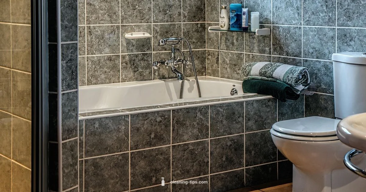 Black Mold Cleanup - Cleaning Tips