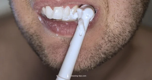 Cat Mouth Health - Cleaning Tips