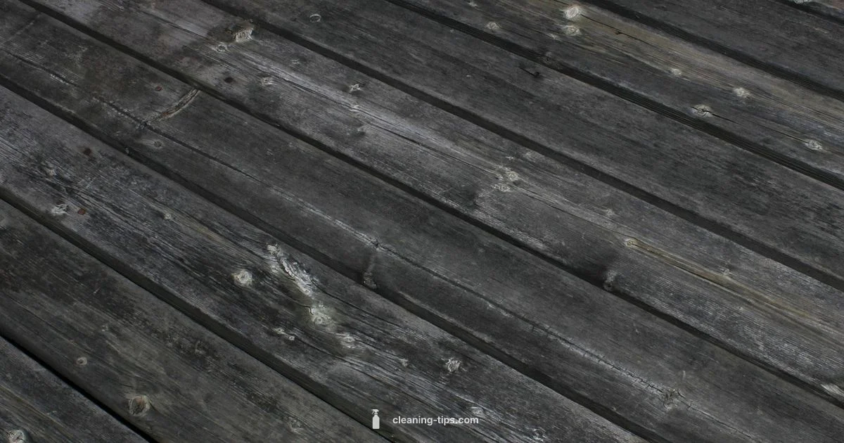 Suede Care Guide - Cleaning Tips