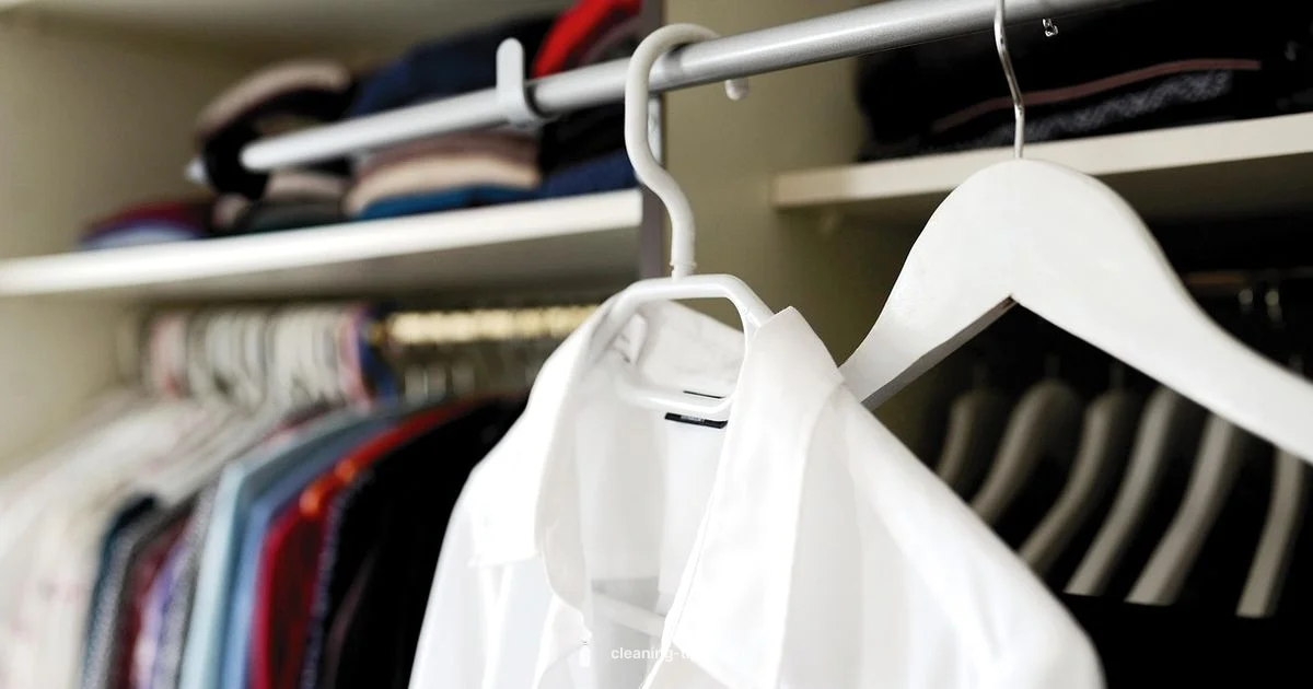 Dry Cleaning Guide - Cleaning Tips