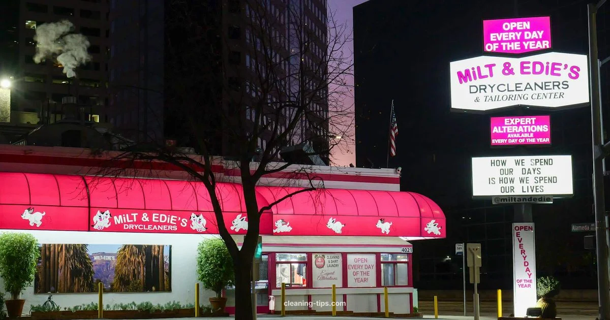 Same-Day Cleaning - Cleaning Tips