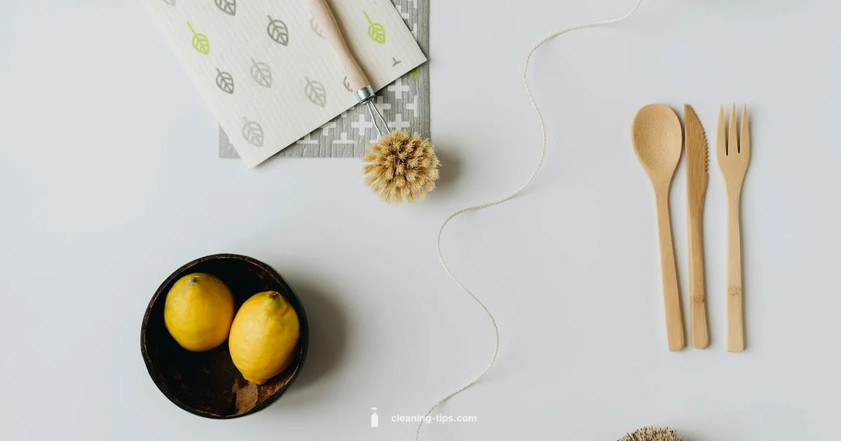 What Clean CR Guide - Cleaning Tips