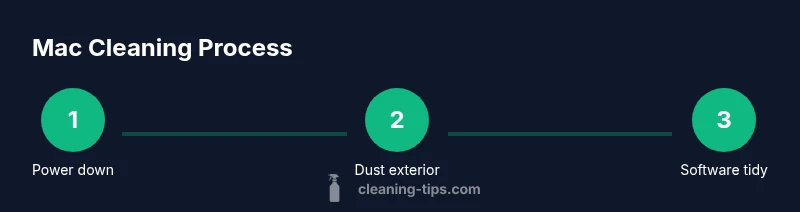 Step-by-step Mac cleaning infographic