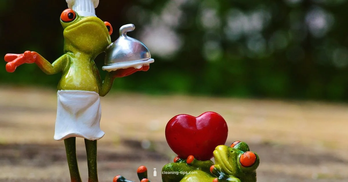 Daily Cleaning Rhythm - Cleaning Tips