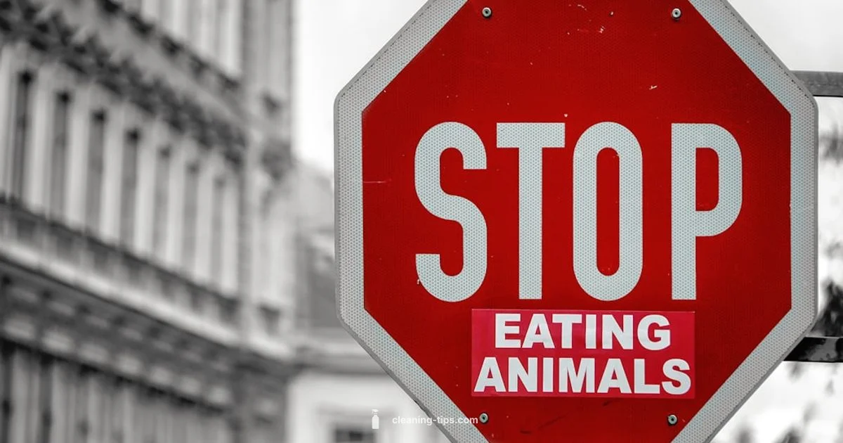 Ancient Codes Ancient Codes - Cleaning Tips