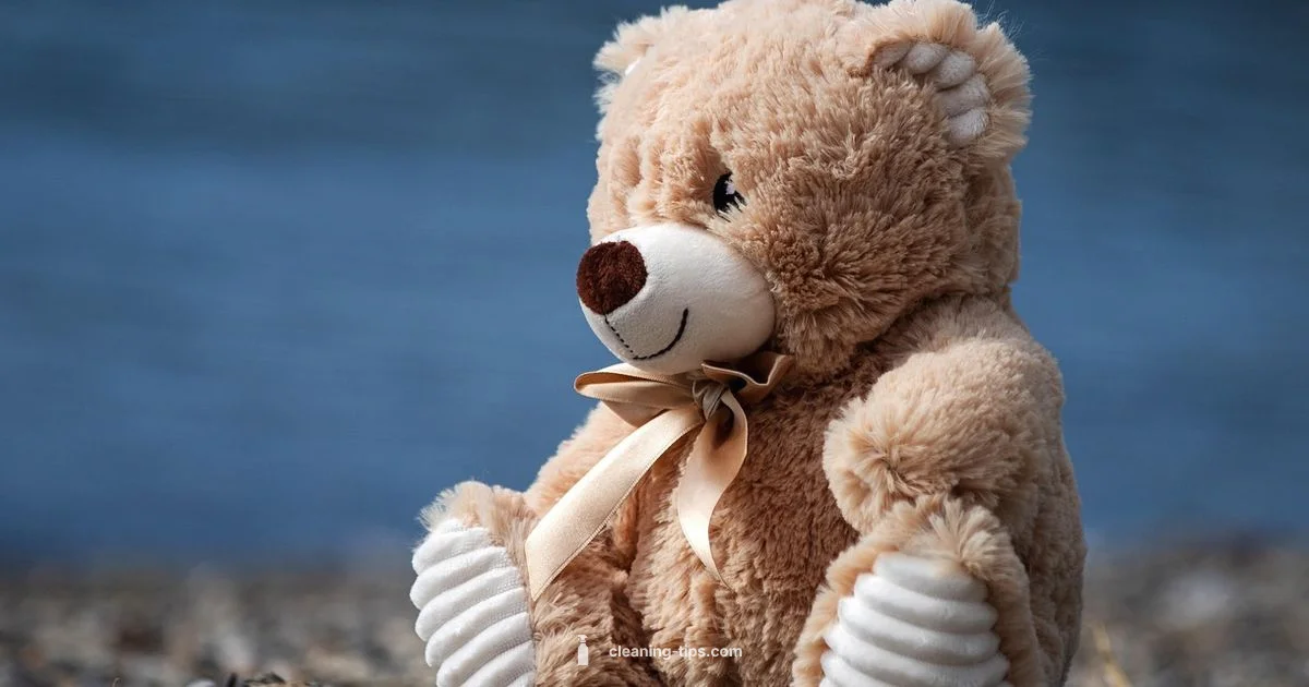 Big Plush Care - Cleaning Tips