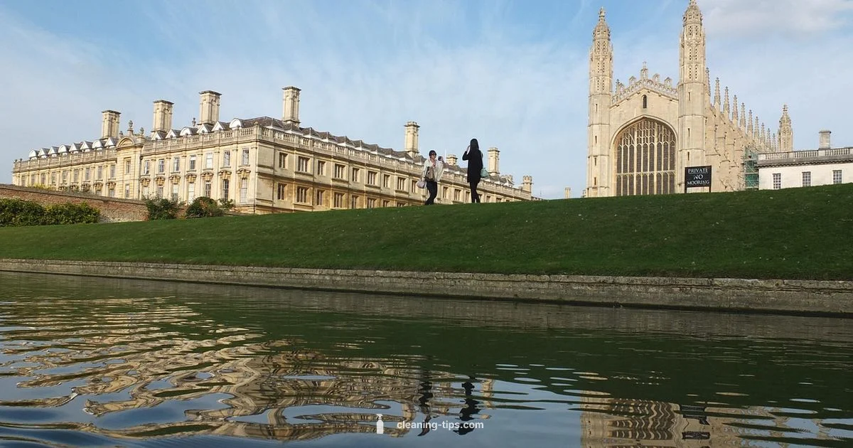 Origins Origins - Cleaning Tips