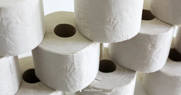 Eco Toilet Cleaning - Cleaning Tips