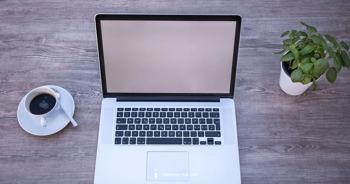 Clean Title Means - Cleaning Tips