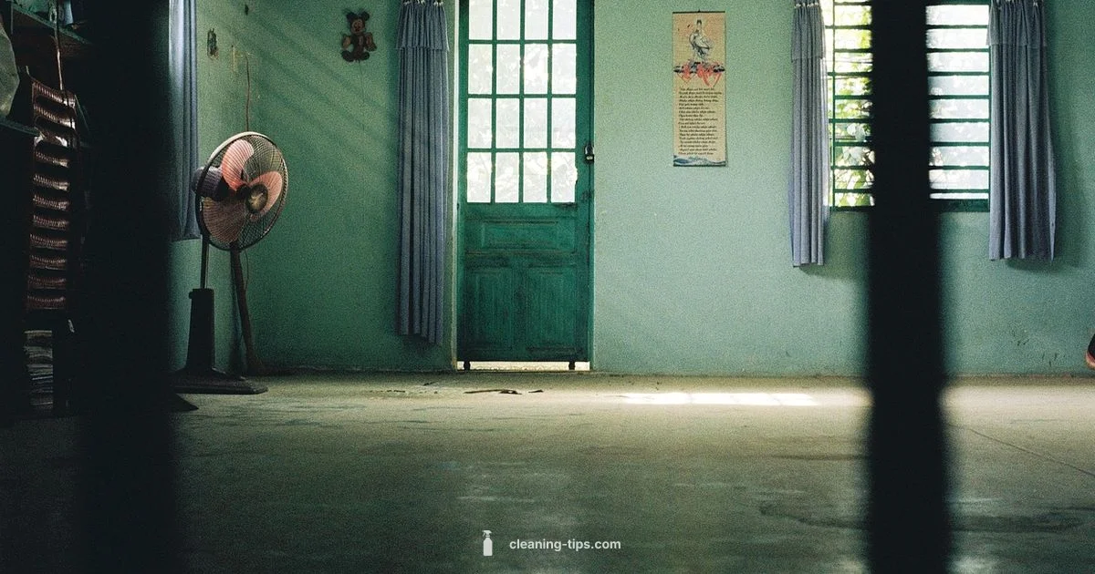 Streak-Free Window - Cleaning Tips