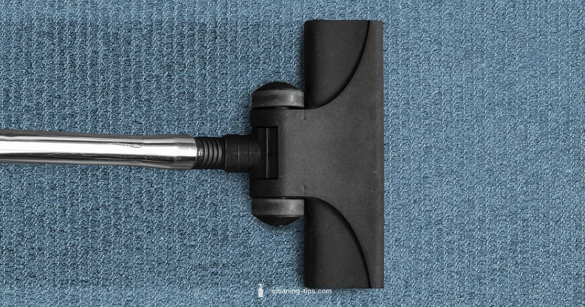 Best Carpet Brands 2026 - Cleaning Tips