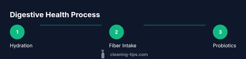 Process for improving digestion with hydration, fiber, and probiotics