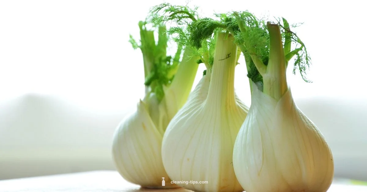 Gut Health Guide - Cleaning Tips