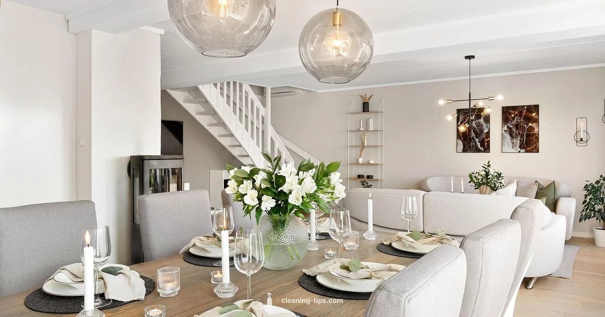 Carpet Care Pro - Cleaning Tips