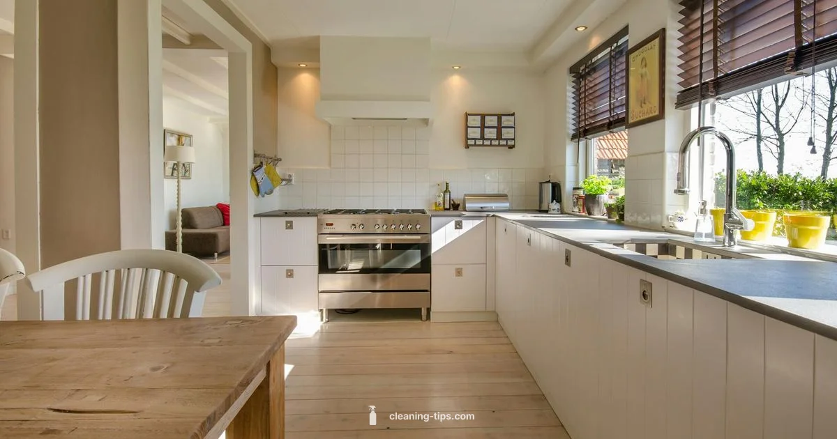 Balanced Cleaning - Cleaning Tips