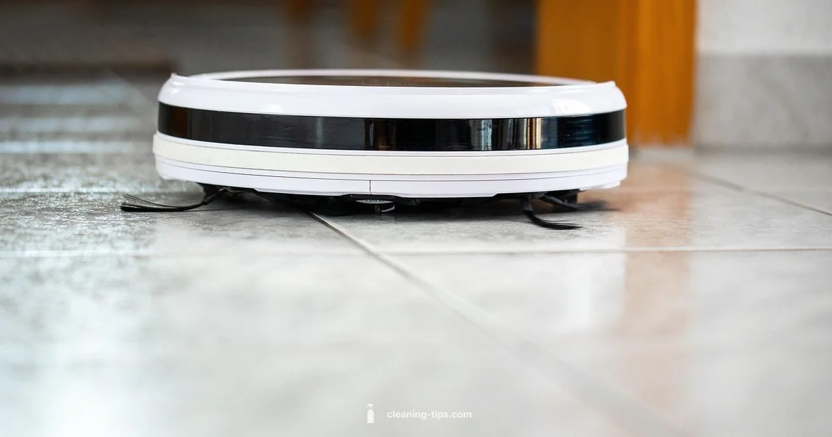 Best Vacuum Guide - Cleaning Tips