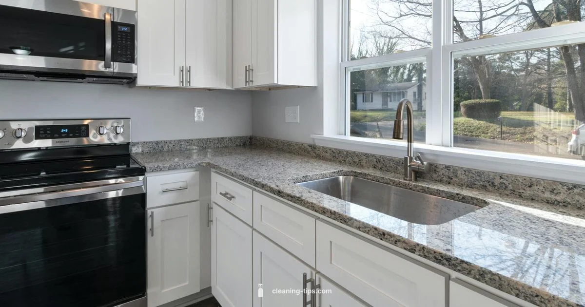 Clean with Passion - Cleaning Tips