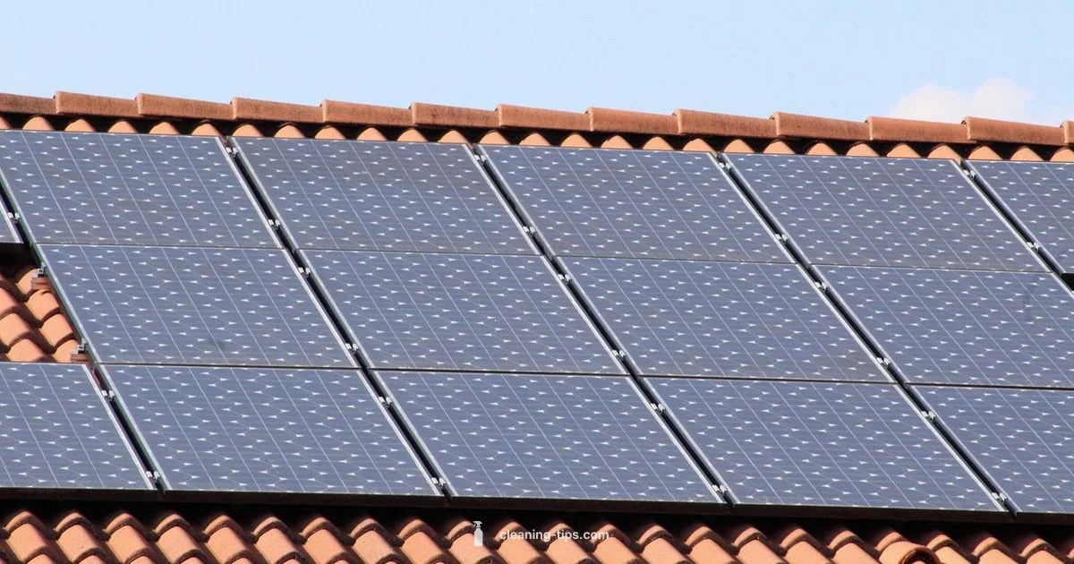Solar Panel Cleaning Solar Panel Cleaning - Cleaning Tips