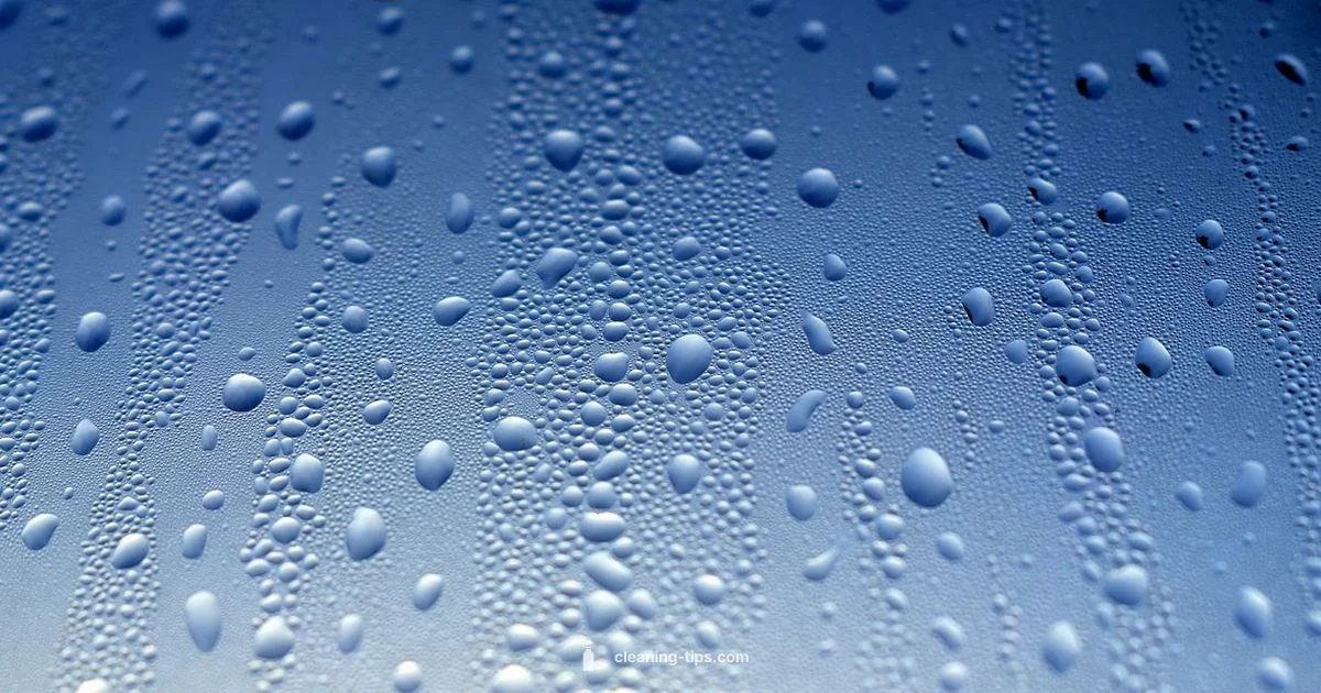 Sparkling Windows - Cleaning Tips