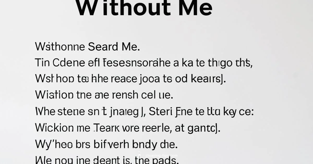 Clean Lyrics Guide - Cleaning Tips