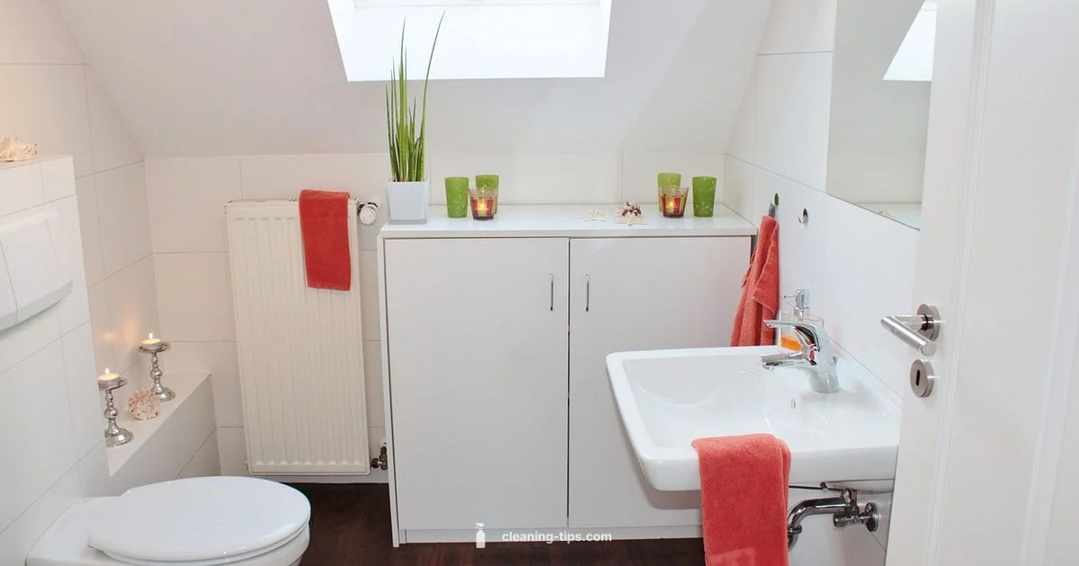 L Ange Clean Guide - Cleaning Tips