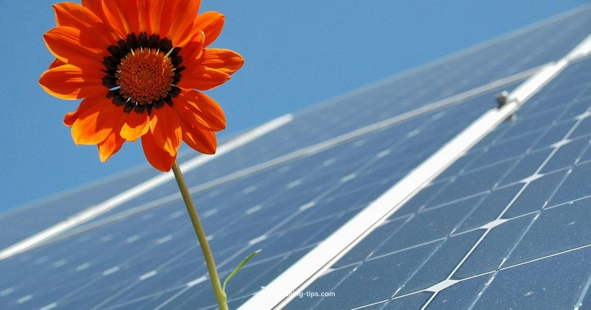 Energy Charge - Cleaning Tips