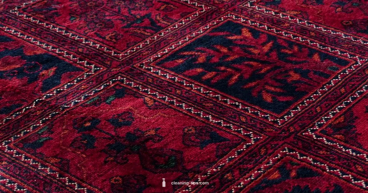 Spray Clean Carpet - Cleaning Tips