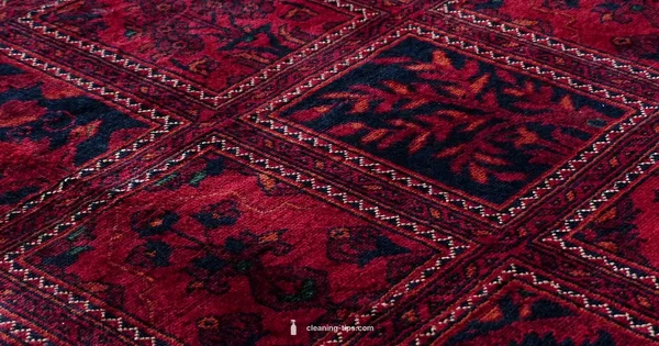 Spray Clean Carpet - Cleaning Tips