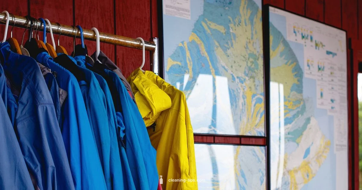 Closet Cleanup Lyrics - Cleaning Tips