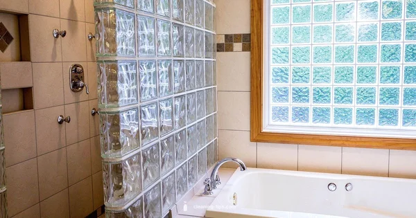 Shower Hygiene Guide - Cleaning Tips