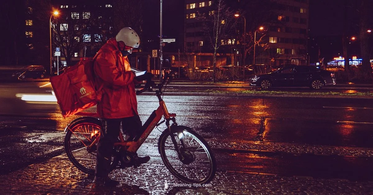 Background Check Basics Background Check Basics - Cleaning Tips