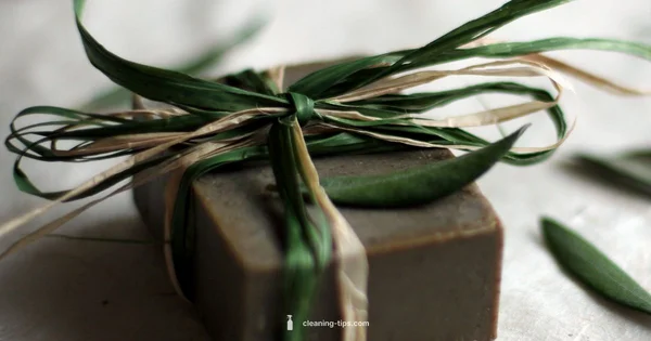 Cleansers vs Moisturizers - Cleaning Tips