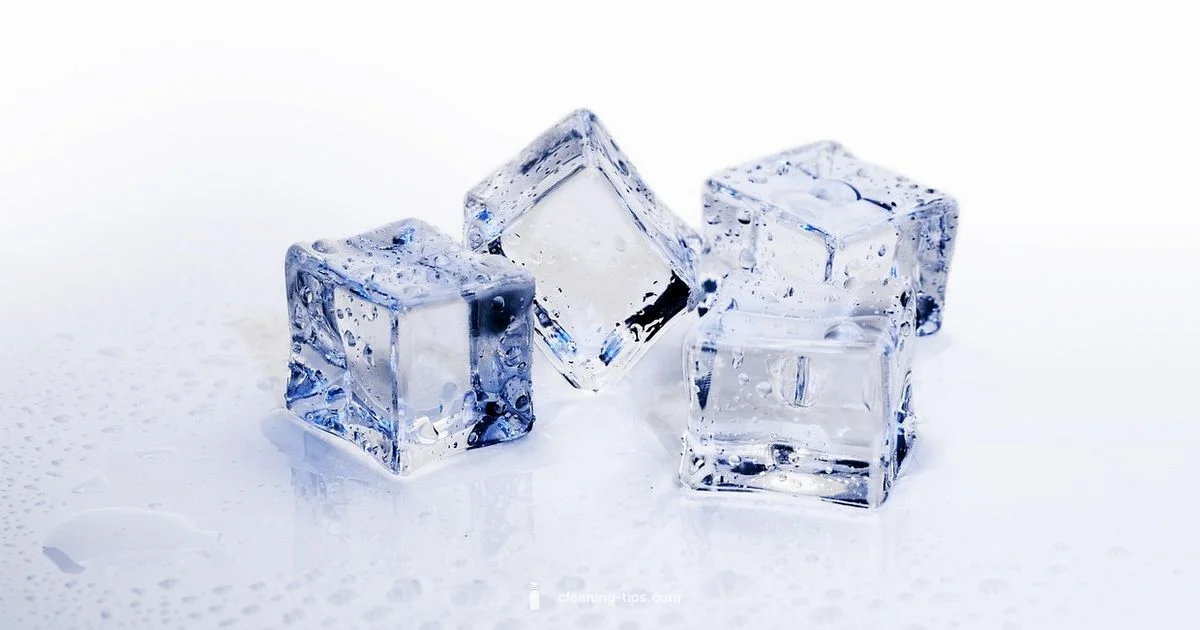 Ice Maker Cleanup - Cleaning Tips