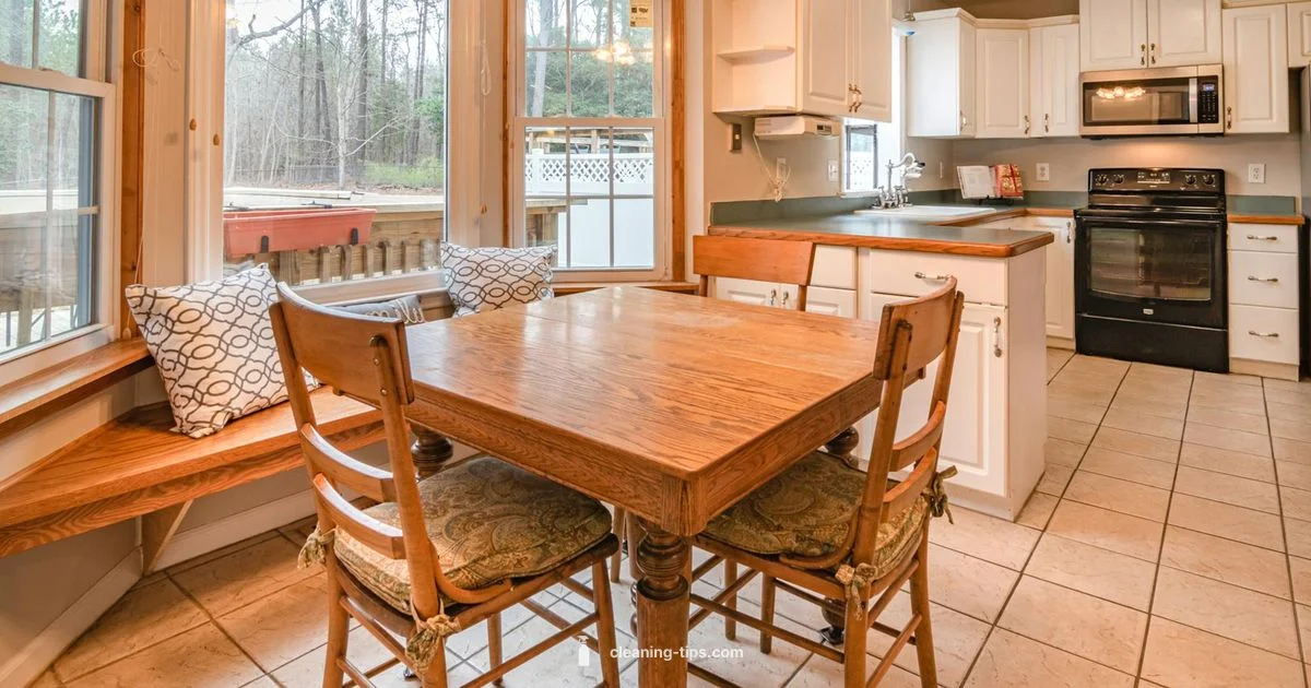 Mastering Home Cleanup Mastering Home Cleanup - Cleaning Tips