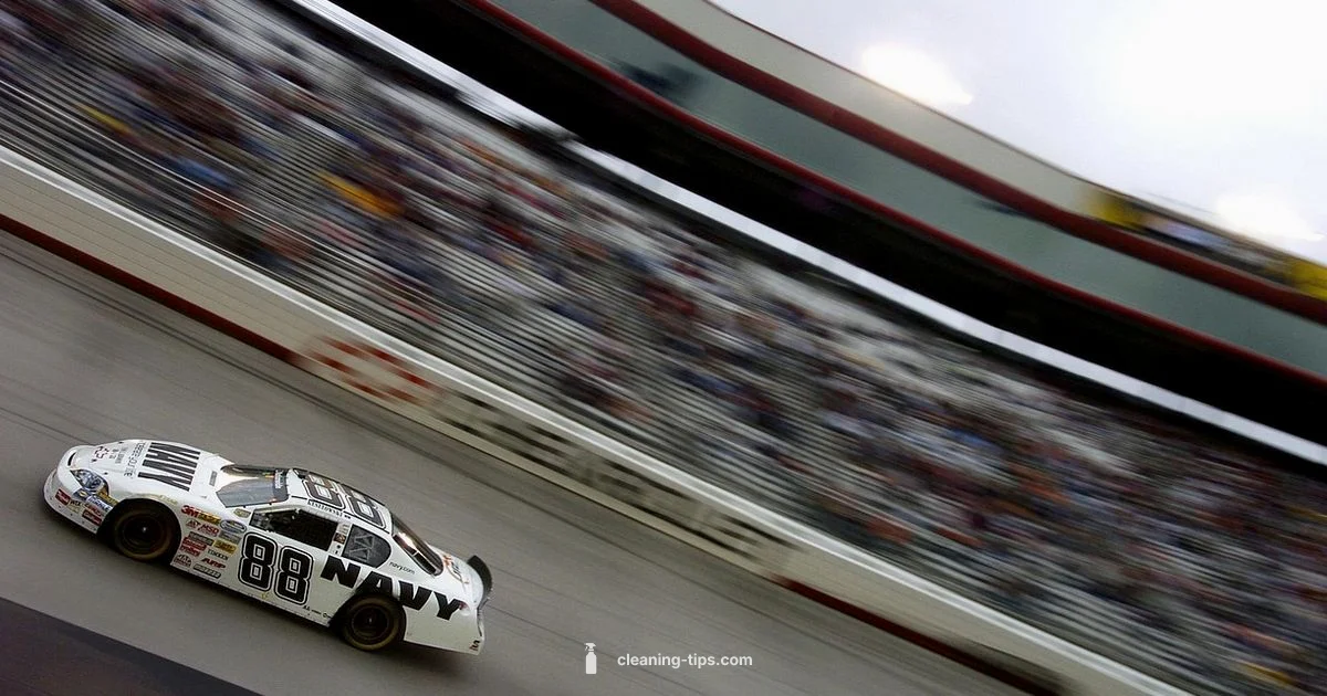 Title Verification Guide Title Verification Guide - Cleaning Tips