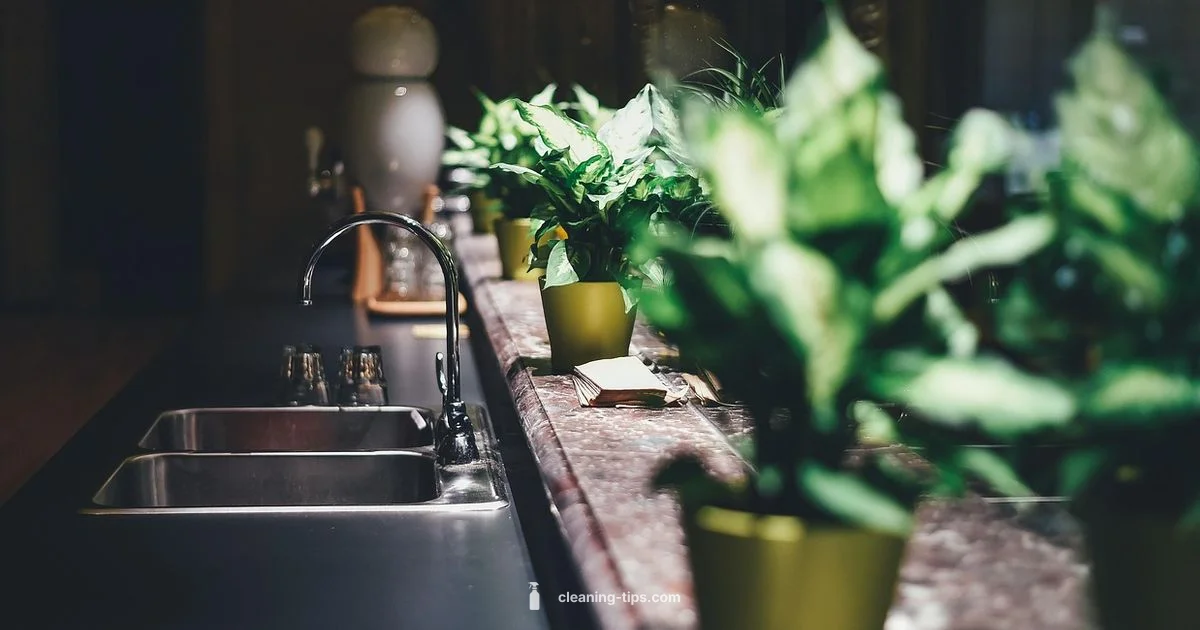 Safe Home Cleaning - Cleaning Tips