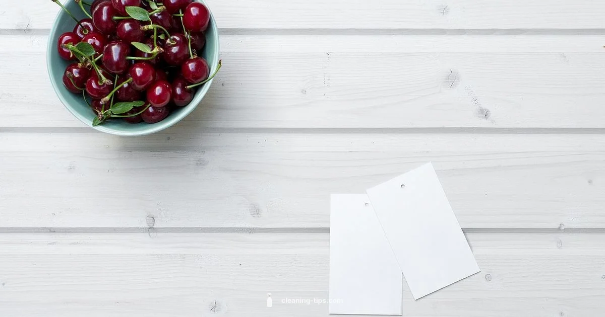 Shoe Care Basics - Cleaning Tips