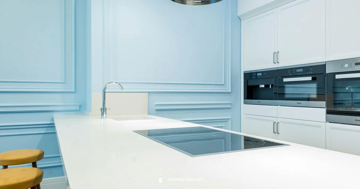 Eco Cleaning Process - Cleaning Tips