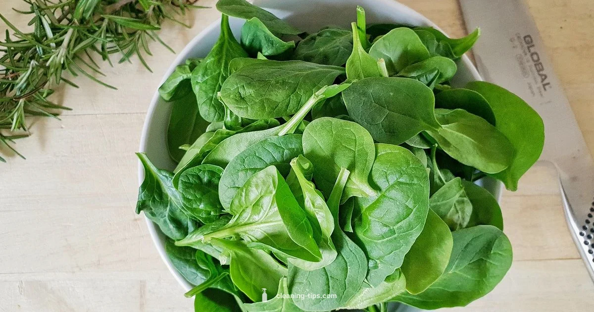 Greens Cleaning 101 - Cleaning Tips